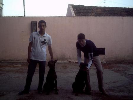 ana w hamza